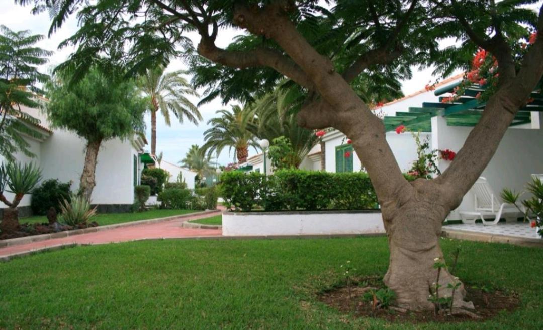 Maspalomas Dunas Golf Exterior foto